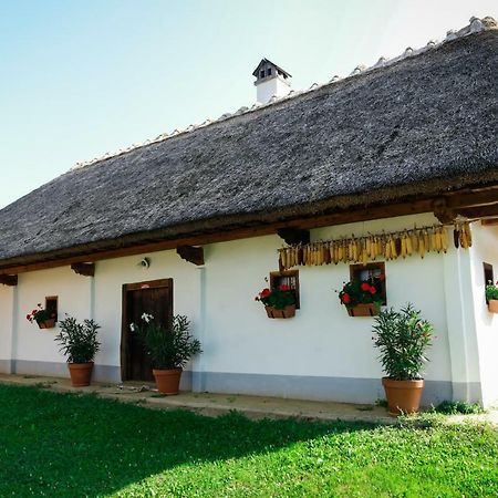 Pensjonat Hrgova Hiska Ptuj Zewnętrze zdjęcie
