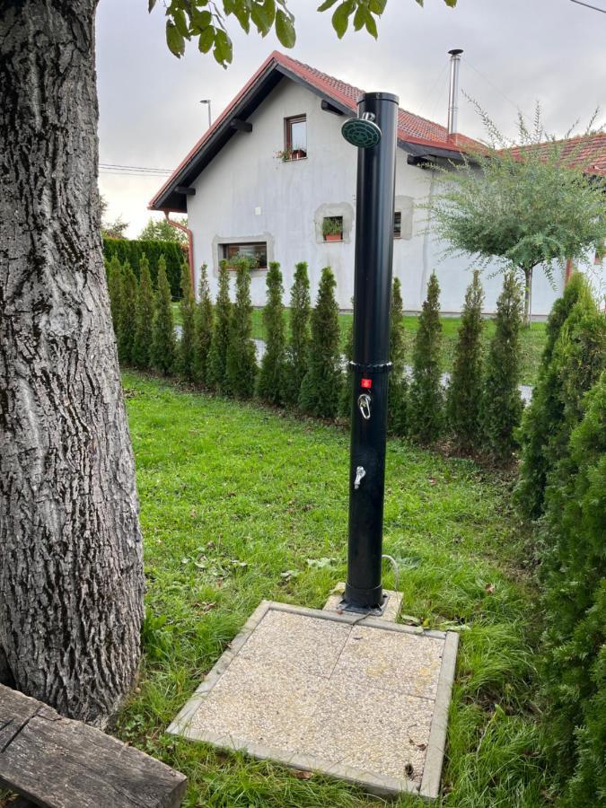 Pensjonat Hrgova Hiska Ptuj Zewnętrze zdjęcie